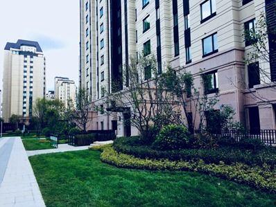 长春合隆小区最新爆料,揭秘神秘事件背后的真相