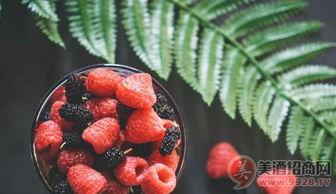 树莓最新爆料新闻,颠覆性创新技术即将亮相